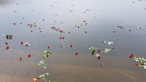 Symboliczny akt wrzucenia do jeziora Schwedt kwiatów upamiętniających polskie ofiary obozu Ravensbrück