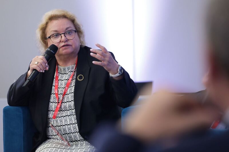 Debata „Formy oporu społecznego w Wielkopolsce i na Ziemi Lubuskiej w latach 1945–1989” – 19 czerwca 2024. Na zdj. dr hab. Elżbieta Wojcieszyk. Fot. Mikołaj Bujak (IPN)