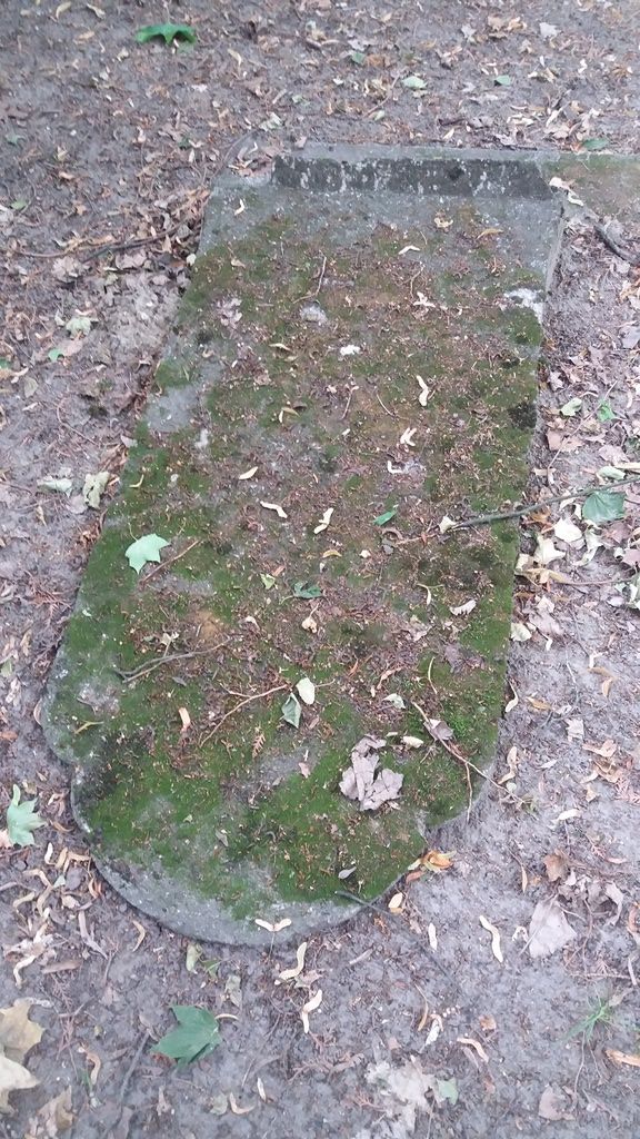 Stan przed renowacją, lato 2022 r.