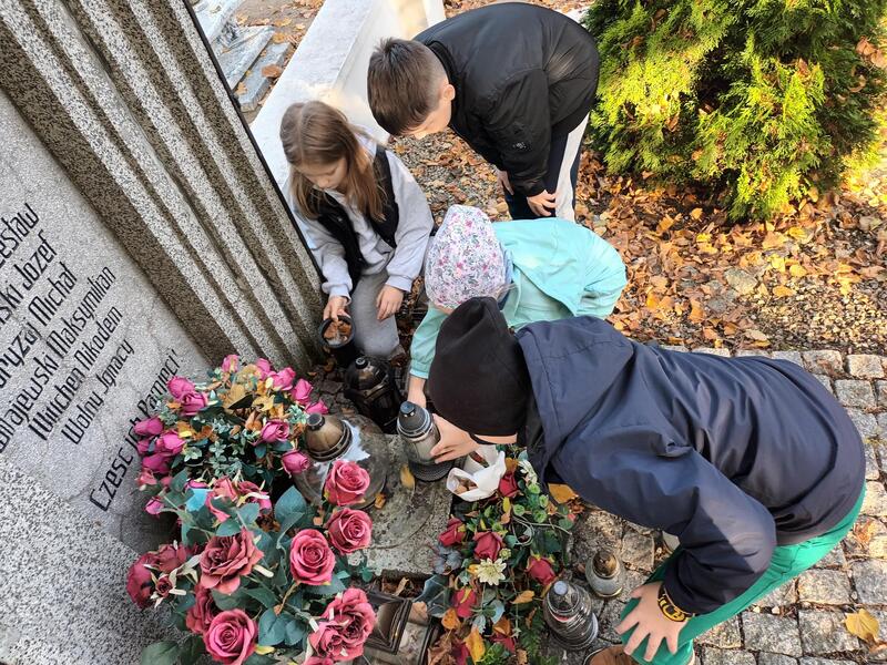 Szkoła Podstawowa z Oddziałami Dwujęzycznymi im. Andrzeja i Władysława Niegolewskich w Opalenicy