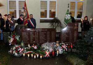 Uroczystość pod pomnikiem poświęconym Powstańcom Wielkopolskim w Wirach