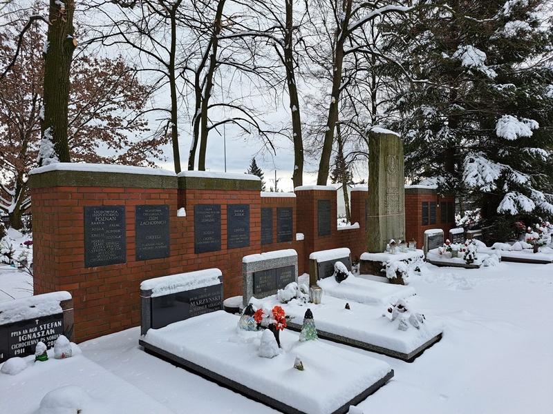 Kwatera żołnierzy Armii Krajowej na cmentarzu Junikowo w Poznaniu. Fot. Anna Hekert (IPN)