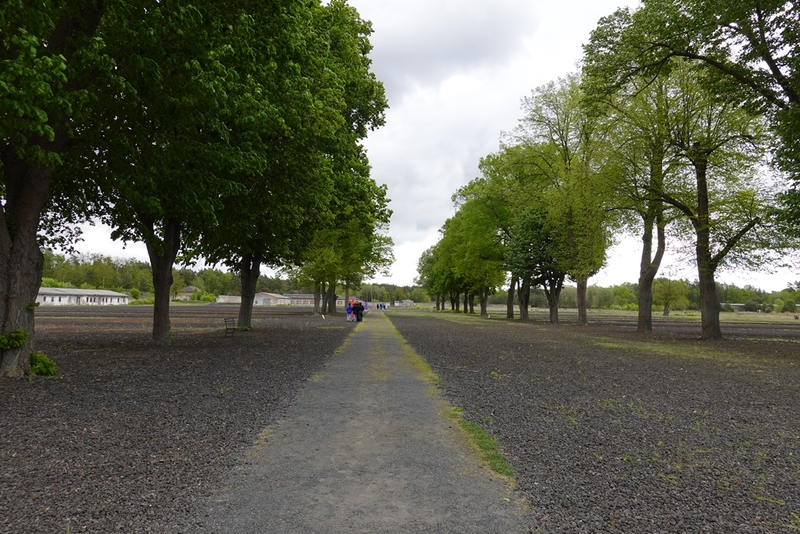 Aleja Lagrowa w FKL Ravensbrück. przy której w okresie funkcjonowania obozu stały baraki więźniarek. Fot. Tomasz Cieślak (IPN)