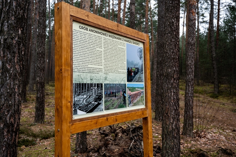 Fot. Jakub Małecki (Urząd Miasta i Gminy Wolsztyn)