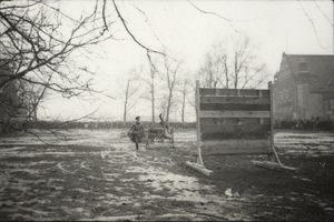 Poznań, 16 lutego 1941 r. Pokaz tresury psów w parku przy obecnym pl. A. Mickiewicza