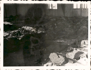 Archiwum Pełne Pamięci: Wyzwolenie obozu na Majdanku