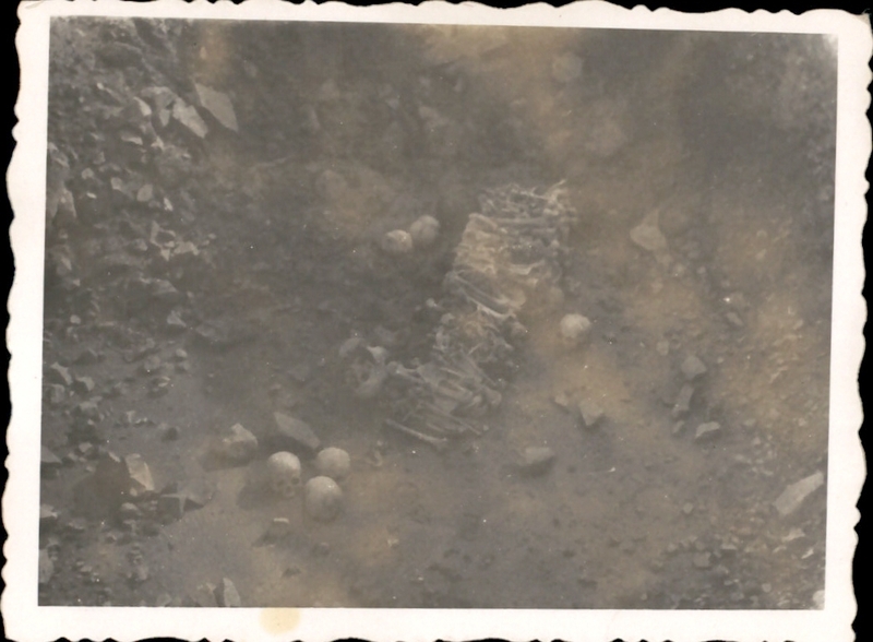 Archiwum Pełne Pamięci: Wyzwolenie obozu na Majdanku