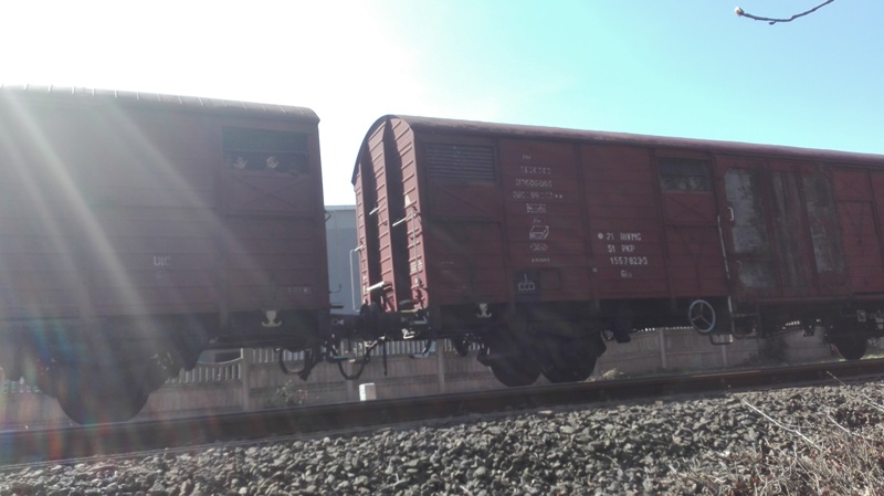 Pociąg z jeńcami w drodze na Bielnik