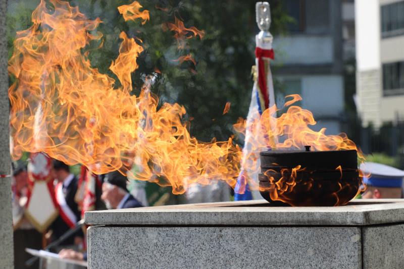 „Wielkopolanie w Powstaniu Warszawskim”
