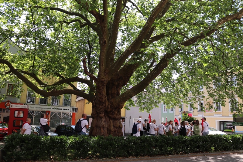 Wizyta w miasteczku Mauthausen. Fot. Tomasz Cieślak
