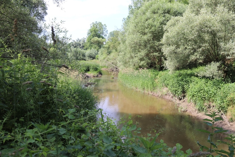 Ruiny Zamku Spielberg, okolice Gusen. Fot. Tomasz Cieślak