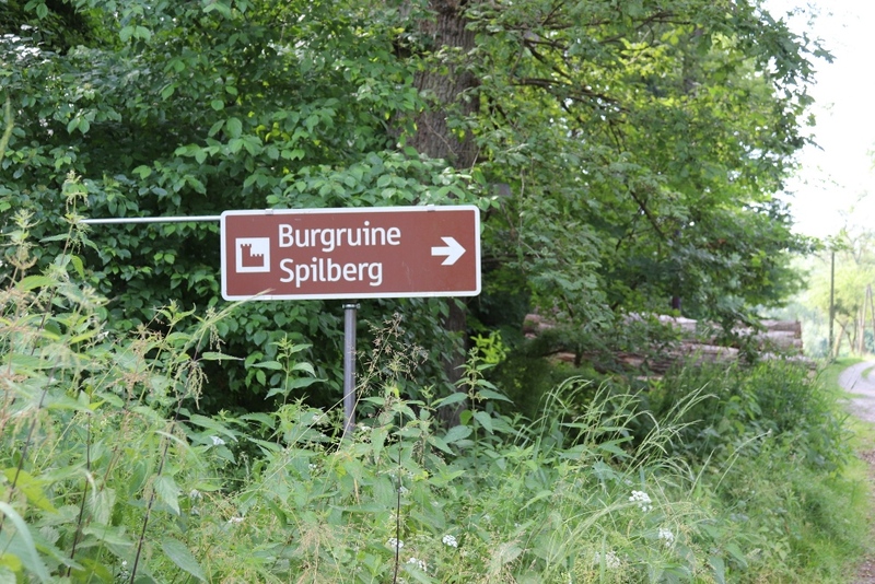 Ruiny Zamku Spielberg, okolice Gusen. Fot. Tomasz Cieślak