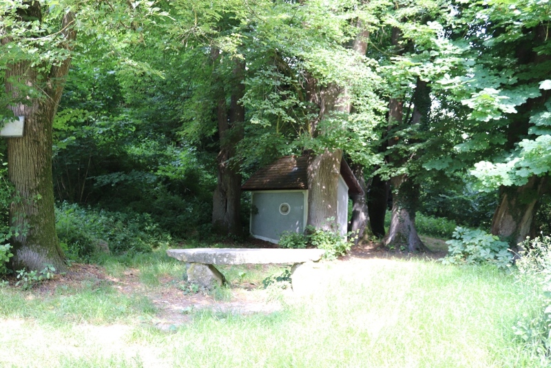 Ruiny Zamku Spielberg, okolice Gusen. Fot. Tomasz Cieślak