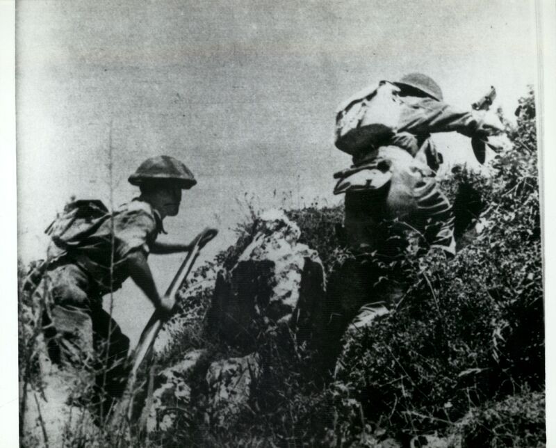 IPN Po 1438/3, IPN Po 1438/4